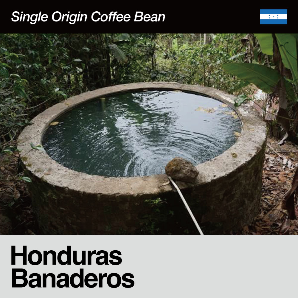Honduras / Banaderos(zWX / o[jfXj