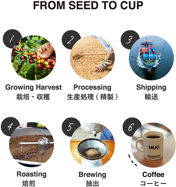 FROM SEED TO CUP