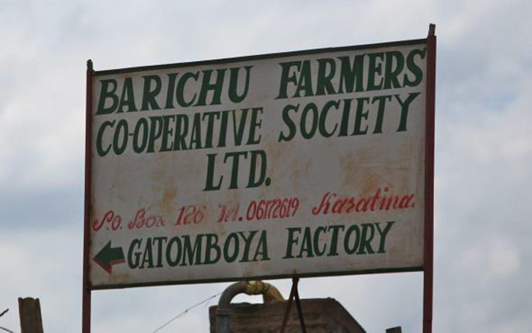 Kenya(PjA)/Gatomboya(Kg{)