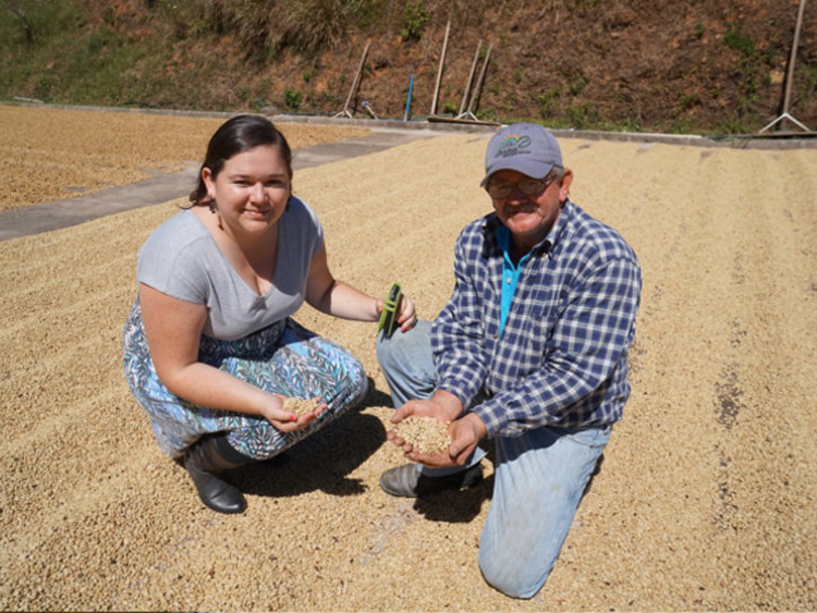 Costa Rica(RX^J)/La Candelilla Honey(EJf[WEnj[)
