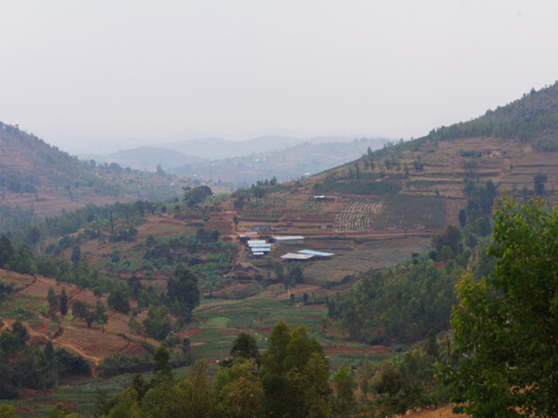 Rwanda / Simbi Fully Washed〈ルワンダ / シンビ・フリーウォッシュド〉
