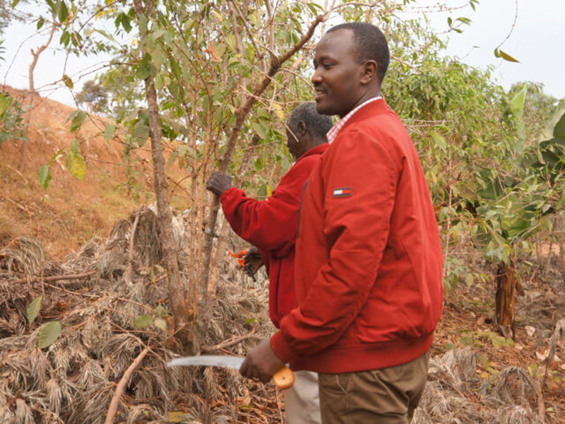 Rwanda / Simbi Fully Washedq_ / VrEt[EHbVhr