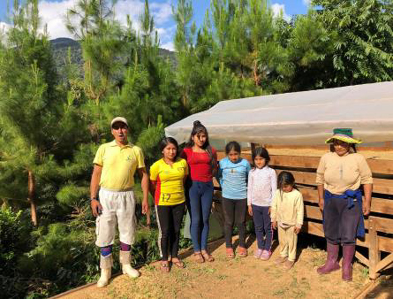 Peru/Gregorio Ortiz Lauraiy[/OSIEIeBXEEj