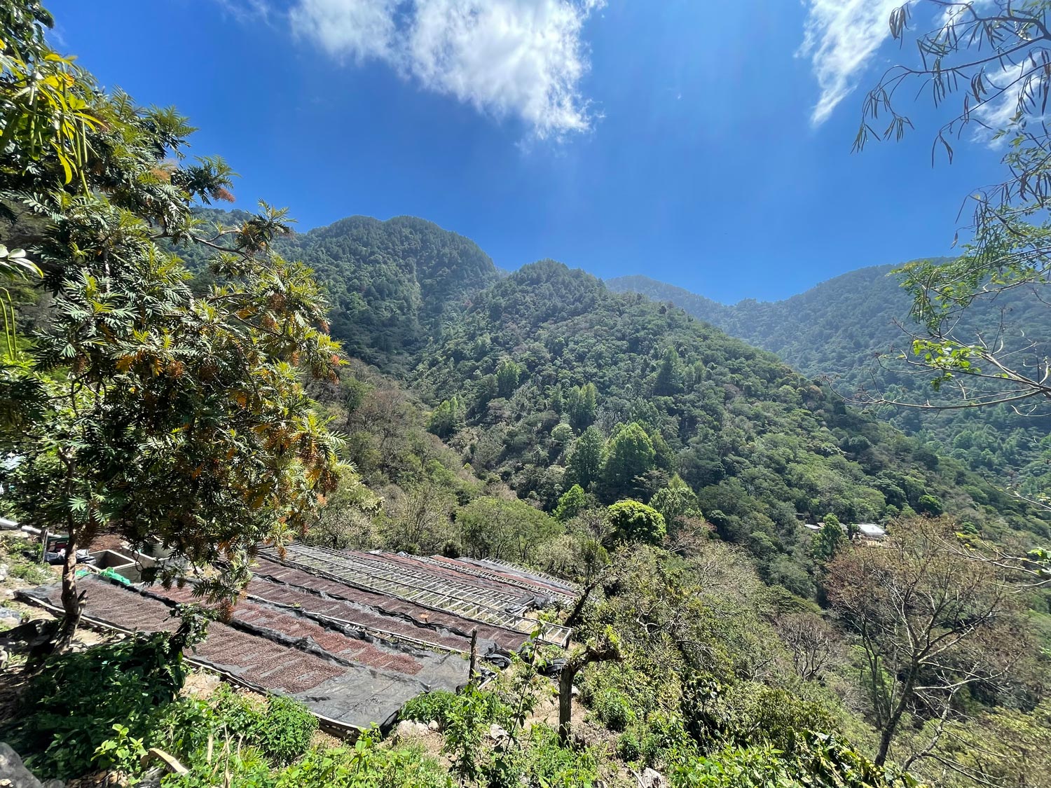 El Salvador/San Andres Pacas NaturaliGToh/TEAhXEpJXEi`j