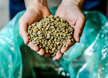 coffee-beans