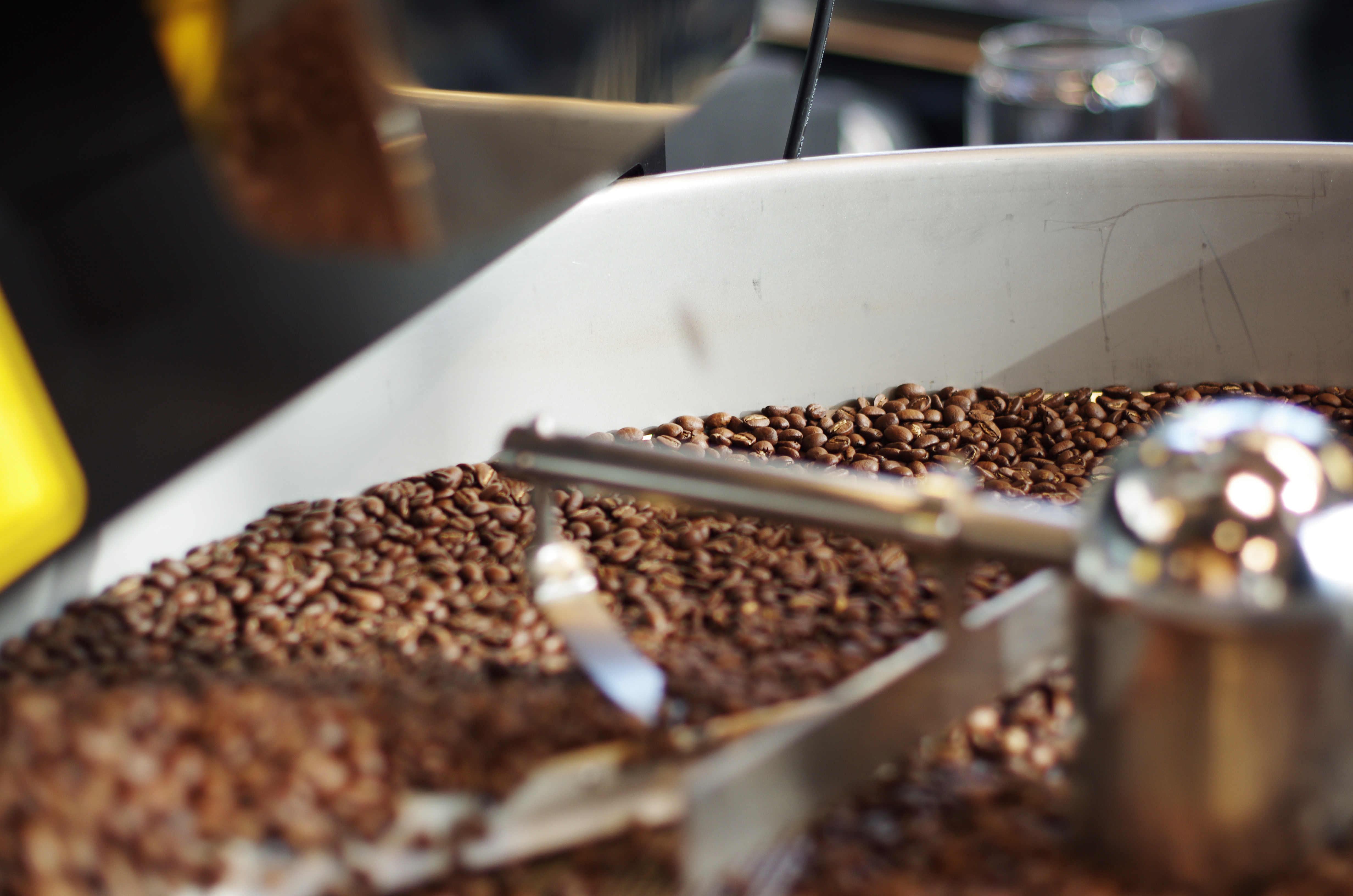 ROAST WORKS より スペシャルティコーヒーの焙煎工程をご紹介 - THE