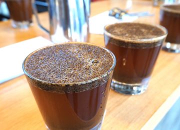 コーヒー豆 冷蔵 冷凍 常温