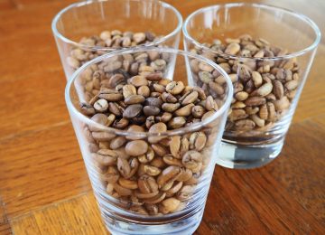 コーヒーの欠点豆集めてみた