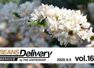 スペシャルティコーヒー定期便(サブスクリプション)Beans Delivery Service 163