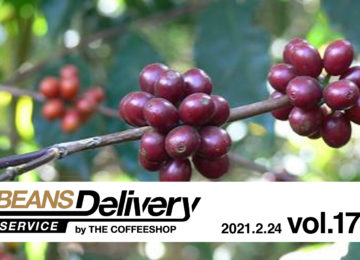 コーヒー豆定期便初月無料キャンペーン実施中！