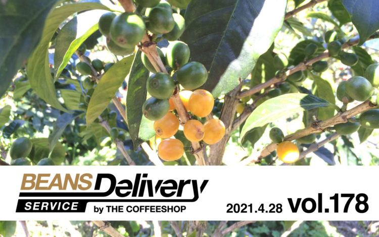 コーヒー豆の定期便"Beans Delivery Service"