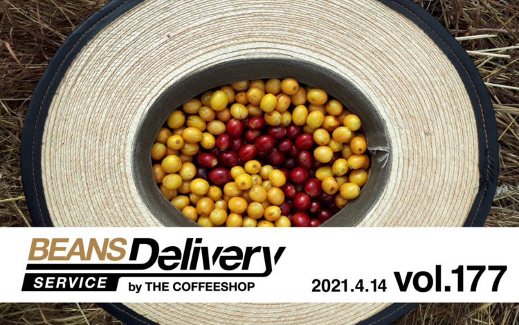 コーヒー定期便(サブスクリプション)Beans Delivery Service vol.177