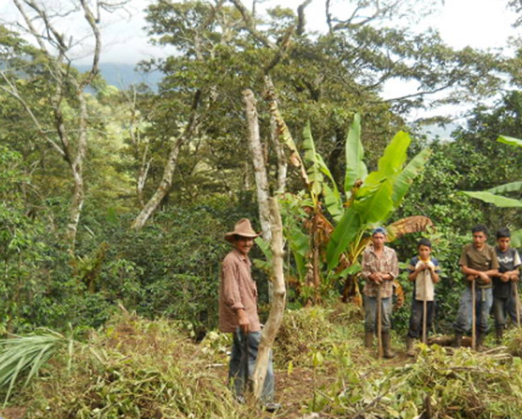 Honduras／La Sabana(ホンジュラス／ラ・サバナ)