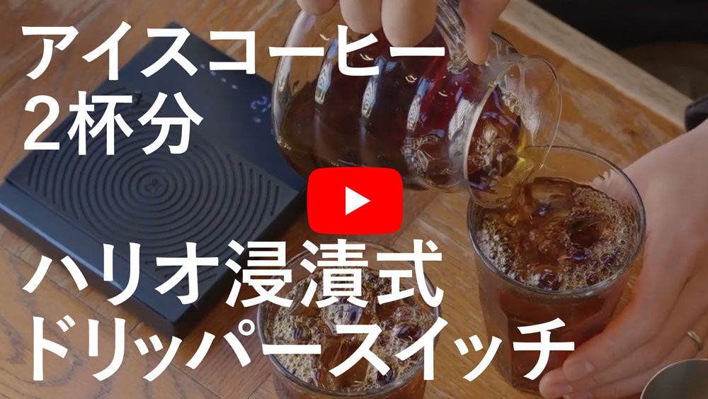 HARIO 浸漬式ドリッパー スイッチ/アイスコーヒー/2杯分