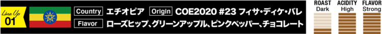 エチオピア/COE2020 #23 フィサ・ディケ・バレ