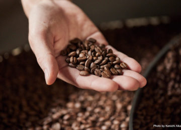 焙煎したてのコーヒー豆 美味しく飲むには？淹れ方のコツや注意点をご紹介！