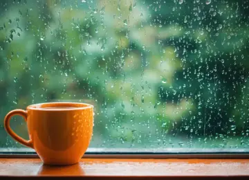 【コーヒーペアリング企画】梅雨・雨の日にコーヒーを飲みながら聴きたい音楽特集｜コーヒー×ミュージック