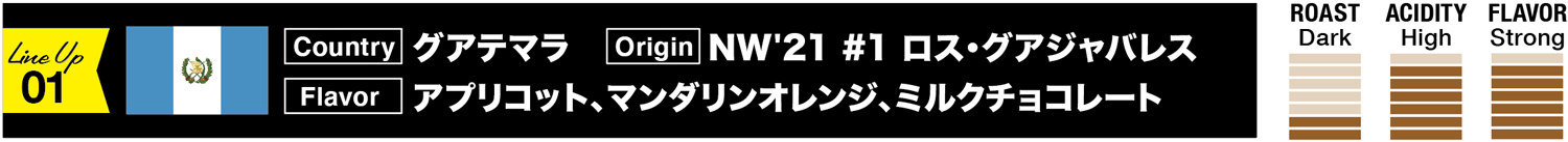 グアテマラ/NW'21 #1 ロス・グアジャバレス