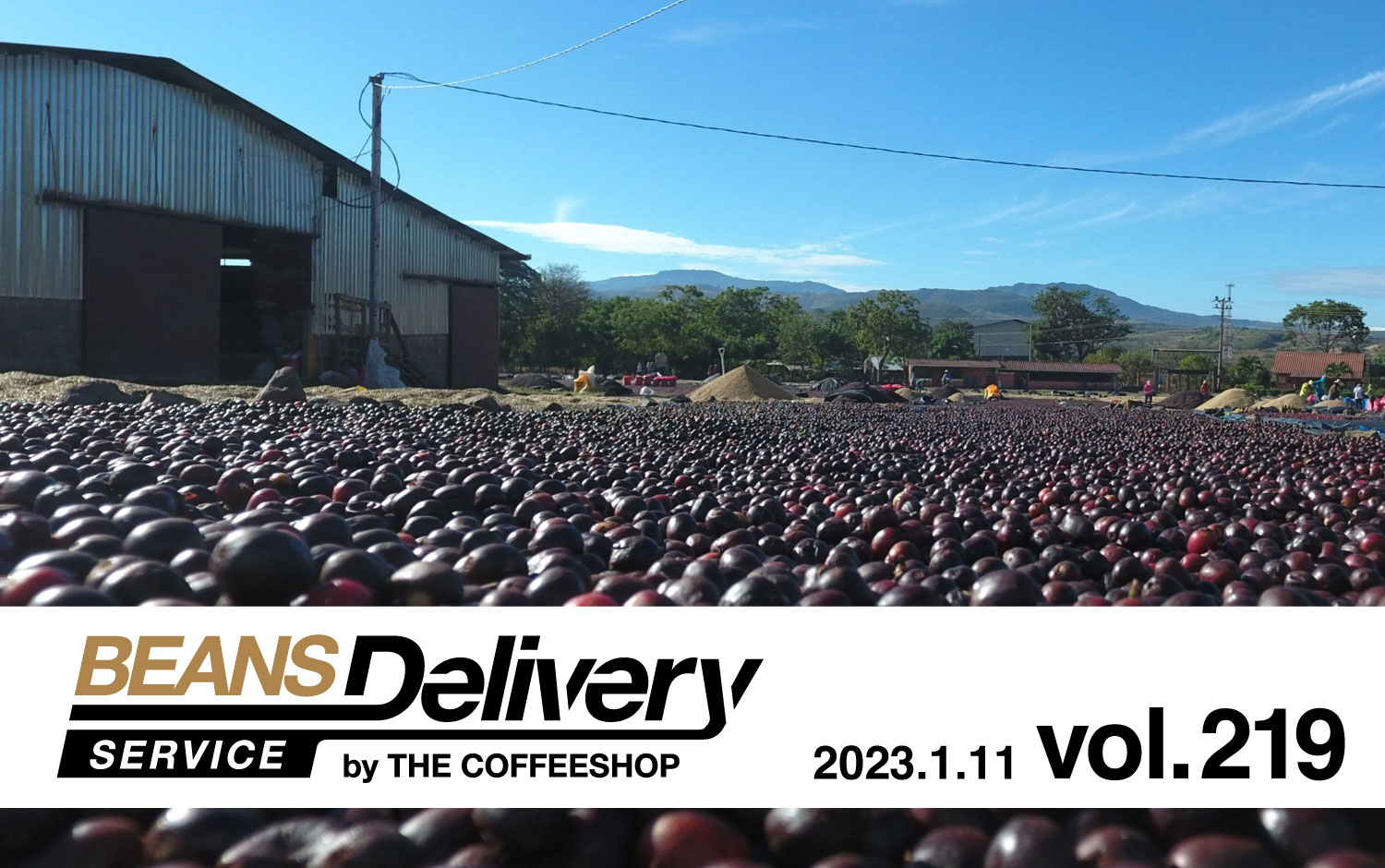 2023年1月11日発送のコーヒー定期便はコロンビアとニカラグア！BDS