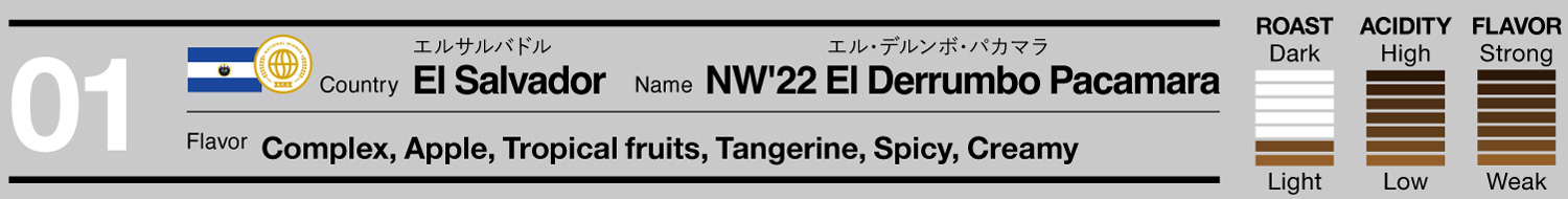 【PREMIUM CROP】El Salvador/NW'22 El Derrumbo Pacamara