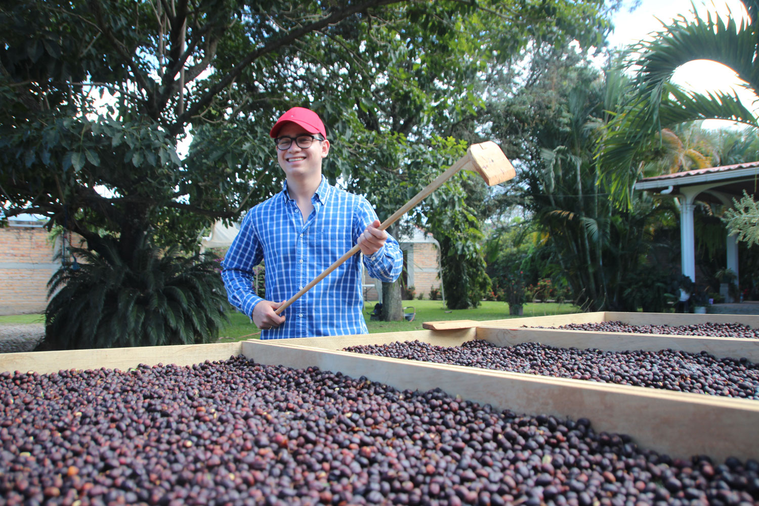 4月12日発送のコーヒー①Honduras/Cafesmo Ocotepeque Natural（ホンジュラス/カフェスモ・オコテペケ・ナチュラル）