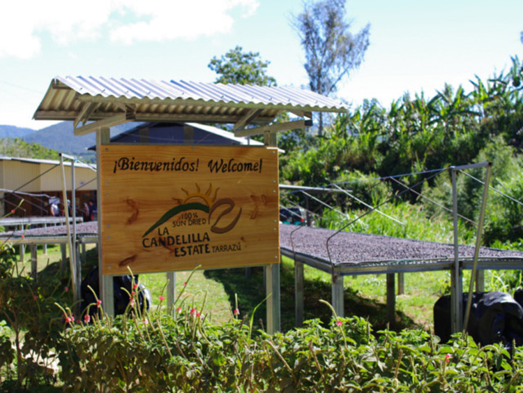 Costa Rica（コスタリカ）／La Candelilla Honey（ラ・カンデリージャ・ハニー）