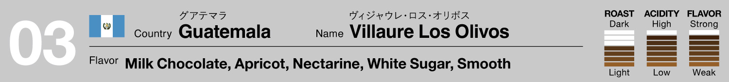 Guatemala/Villaure Los Olivos（グアテマラ/ヴィジャウレ・ロス・オリボス）
