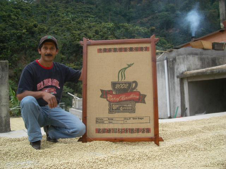 COE常連の名門農園から届いた、毎日飲みたいデイリースペシャルティ、Guatemala／Villaure Los Olivos入荷！