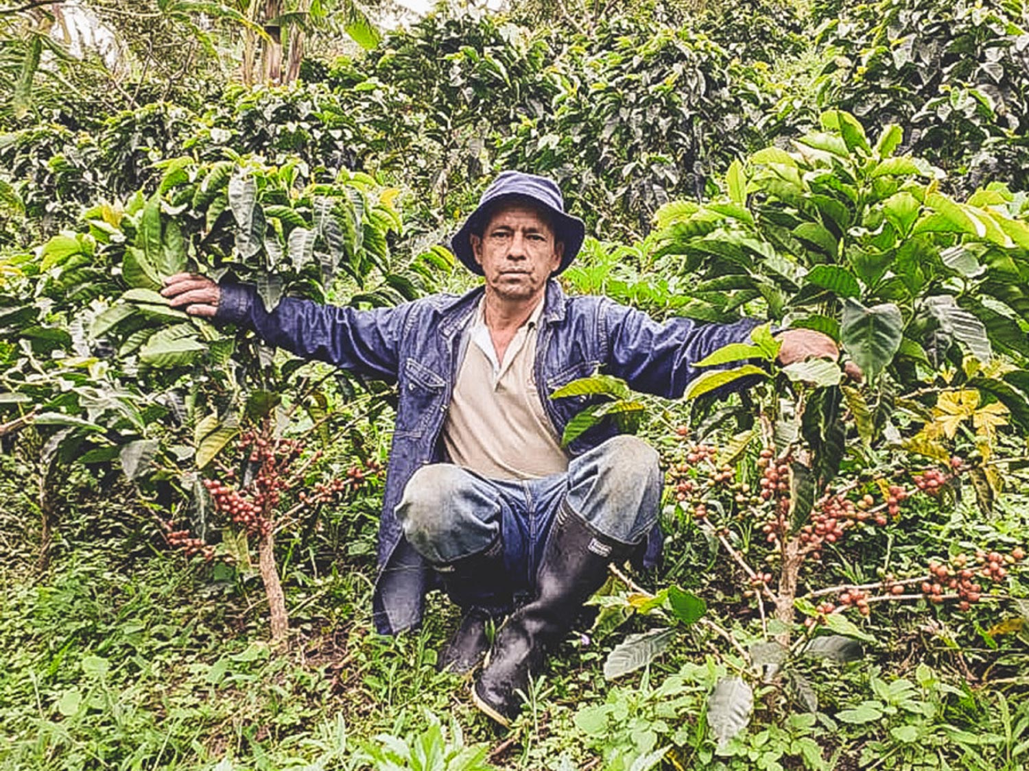 Colombia／Finca El Corozal Natural（コロンビア／フィンカ・エル・コロサル・ナチュラル）