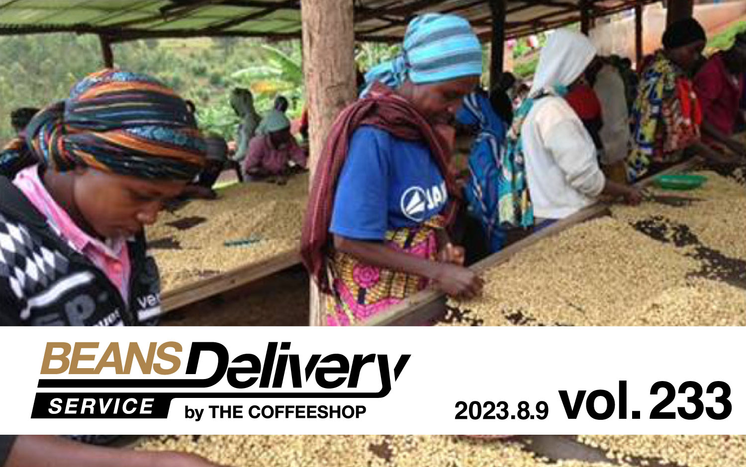 2023年8月9日発送のコーヒー定期便は、ルワンダの精製処理違いをお届け！BDS MAGAZINE vol.233