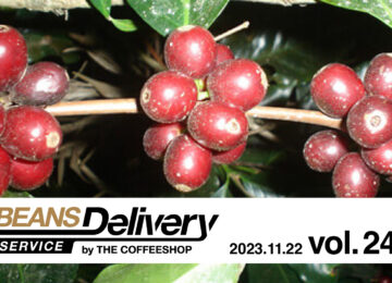 2023年11月22日発送のコーヒー定期便は、グアテマラとブラジルをお届け！BDS MAGAZINE vol.240