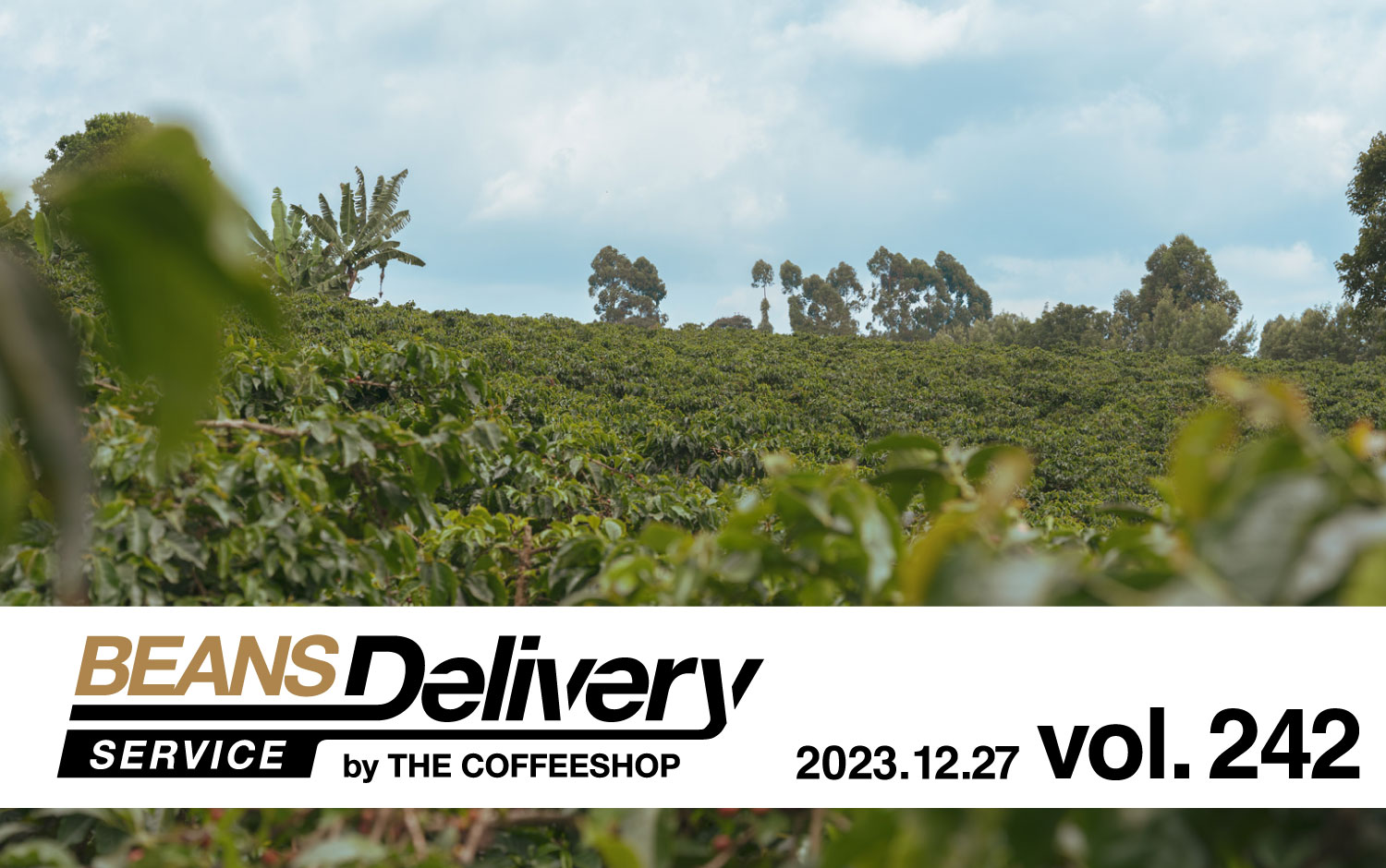 2023年12月13日発送のコーヒー定期便は、ケニアとブラジルをお届け！BDS MAGAZINE vol.241〈スペシャルティコーヒーサブスク Beans Delivery Service〉