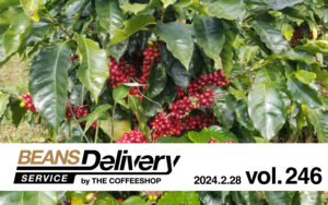 スペシャルティコーヒーサブスク〈Beans Delivery Service〉2024年2月28日発送のコーヒー定期便は、ケニアとニカラグアをお届け！BDS MAGAZINE vol.246