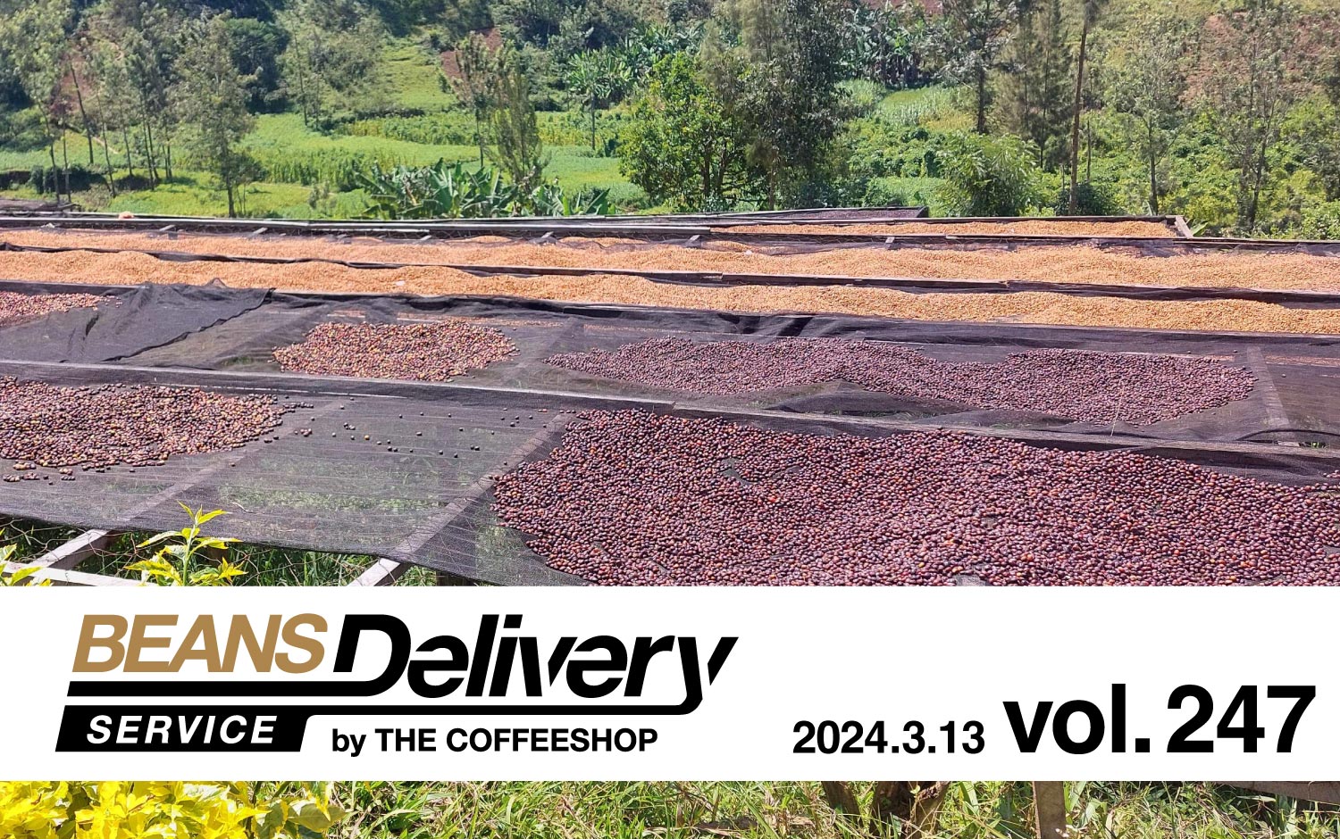 【Sheffield Silve Co.】ビクトリアンのコーヒーサービス 4点 Sheffield Silve Co.】ビクトリアンのコーヒーサービス 4点 【シルバー