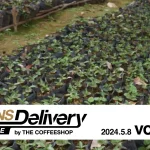 スペシャルティコーヒーサブスク〈Beans Delivery Service〉2024年5月8日発送のコーヒー定期便は、コスタリカとブルンジ！BDS MAGAZINE vol.251
