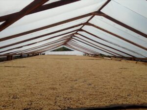 Peru / Jorge Diaz Campos（ペルー / ホルヘ・ディアス・カンポス）