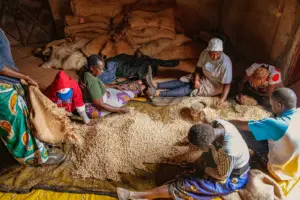 Kenya / Mukengeria（ケニア / ムケンゲリア）