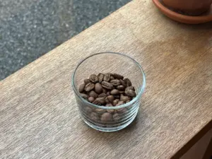 バランスよく楽しめるデイリーなパカマラ｜El Salvador / La Palma Pacamara 入荷！