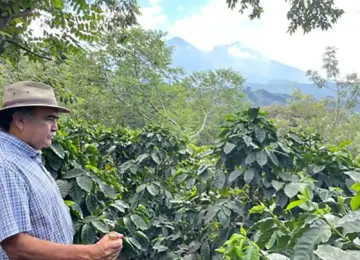 Guatemala / Finca La Soledad H1（グアテマラ / フィンカ・ラ・ソレダ・H1）