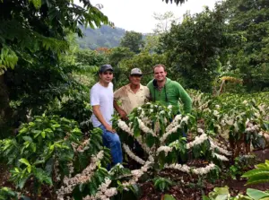 「とにかく甘い！」滋味深くふくよかな甘さが楽しめる、コスタリカ・レッドハニー｜Costa Rica / V&G San Juanillo 販売開始！