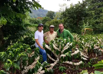 「とにかく甘い！」滋味深くふくよかな甘さが楽しめる、コスタリカ・レッドハニー｜Costa Rica / V&G San Juanillo 販売開始！