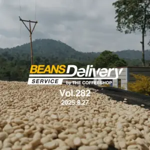 エチオピアのコーヒー豆をお届け！スペシャルティコーヒーサブスク〈Beans Delivery Service〉vol.282
