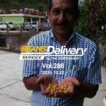 ホンジュラスとグアテマラのコーヒー豆をお届け！スペシャルティコーヒーサブスク〈Beans Delivery Service〉vol.286