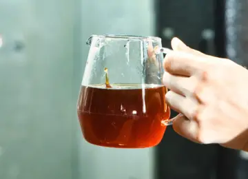 【コーヒー豆の特徴解説】THE COFFEESHOPが推す「ウォッシュド精製」とは｜クリーンな一杯が教えてくれること